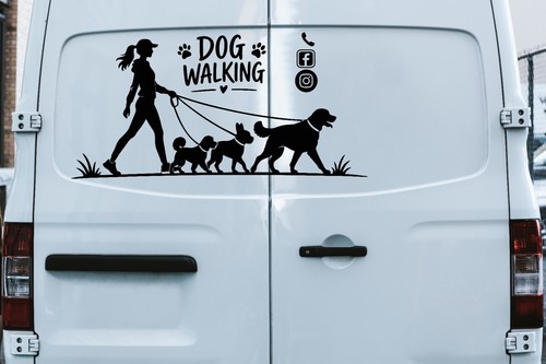 Professional dog walker - dog,