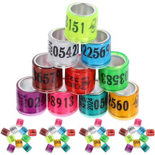 100 pcs homing pigeon - homing,