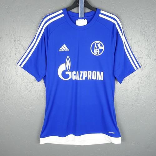 Schalke goretzka 2017 - schalke, 8