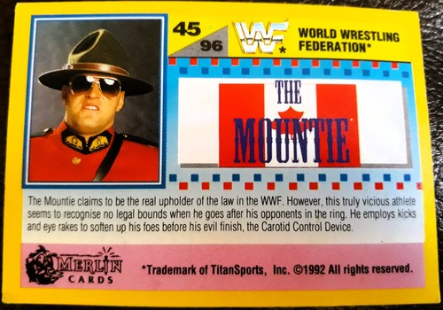 Wwf summer slam - wwf, 1992