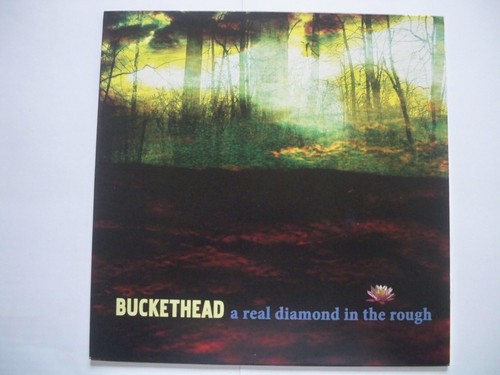 Buckethead real diamond in - a,