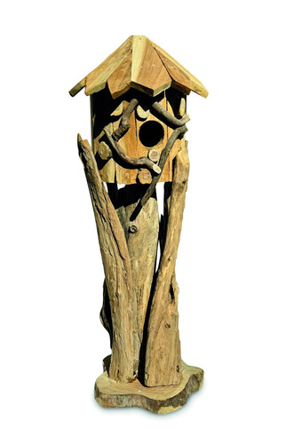 Mini java teak - java, bird