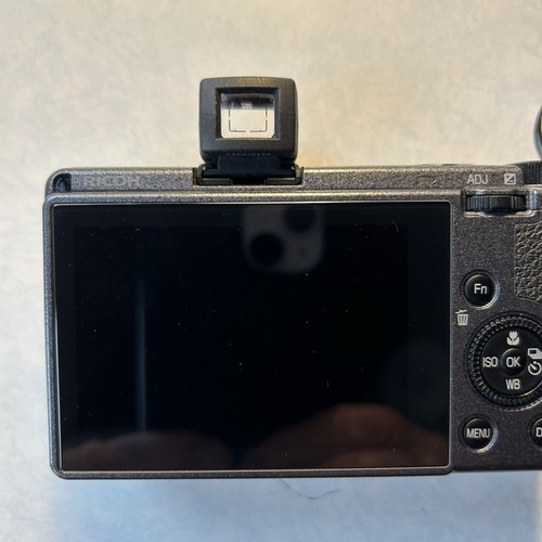 Ricoh external viewfinder - ricoh,