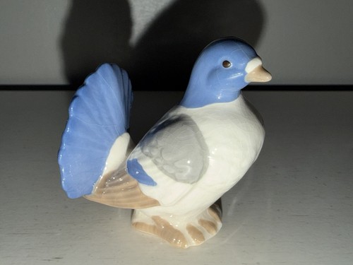 Goebal fantail pigeon - goebal,