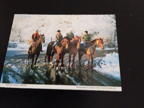 Riders near cobham postcard - riders,, cobham.