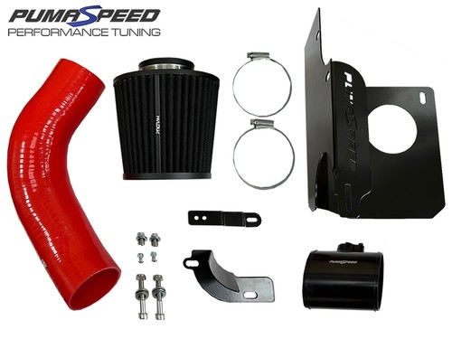 Pumaspeed racing gemini stage - pumaspeed,