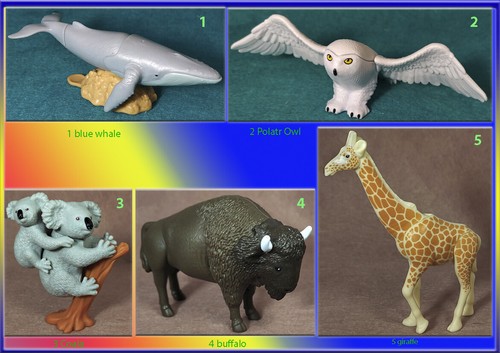 Kinder surprise maxi natoons - maxi,