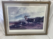 Stag Art Print By John