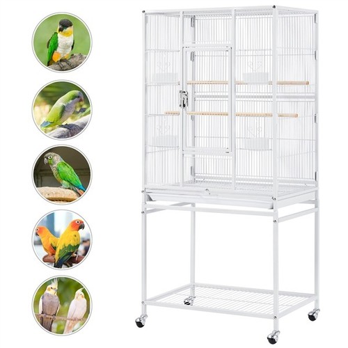 Large bird cage parrot - bird,