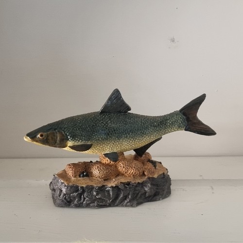 Asp the anglers showcase - the,