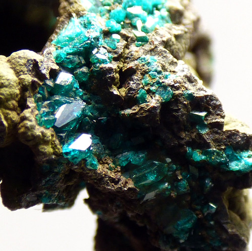 Gemmy green dioptase crystals - green,
