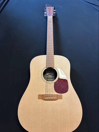 Martin dxm dreadnought - martin,