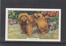 1938 Gallaher Dogs 2nd series