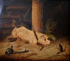 Terriers Teasing a Rat Antique Oil Painting Follower George Armfield c1840