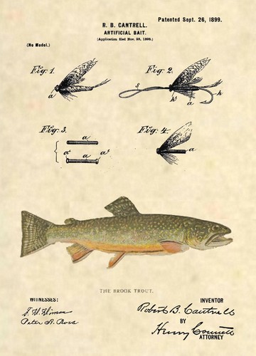 Brook trout fishing - fishing, lure