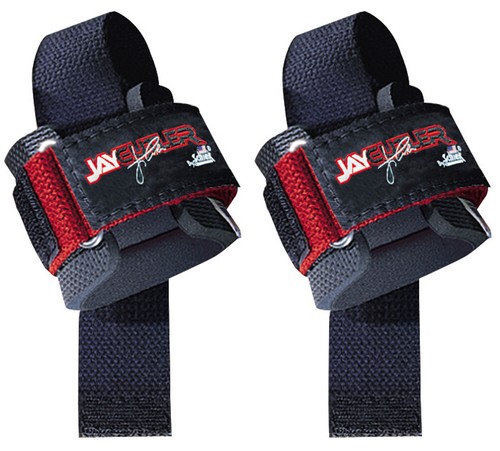 Schiek sports inc - inc., jay