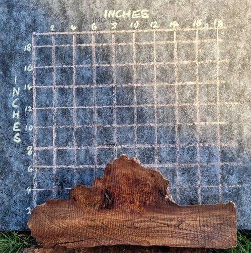 Timber scottish burr elm blank - timber,