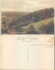 View at Rake Sussex England F Frith Co Ltd Landscape Forest Printed Lithograph