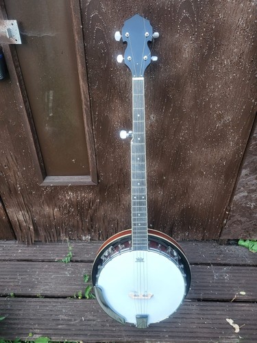 String banjo remo - 5,