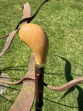 Hazel Walking Stick Classic