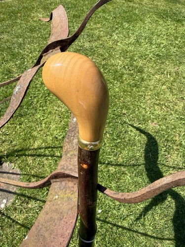 Hazel walking stick classic - walking,