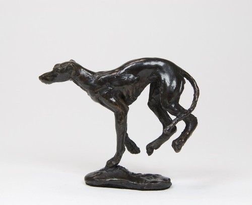 Greyhound lurcher jumping - ,