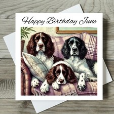 Springer Spaniel Birthday Card