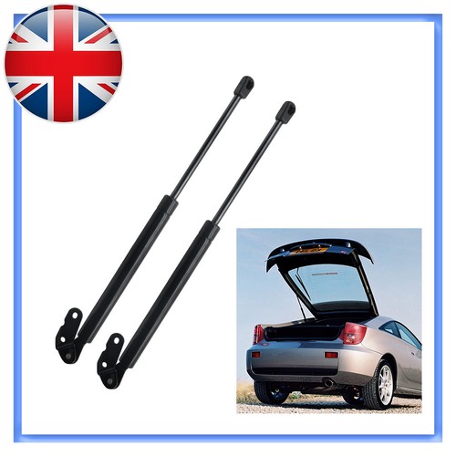 Rear tailgate lift supports - lift,