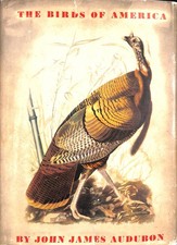 The birds of America by