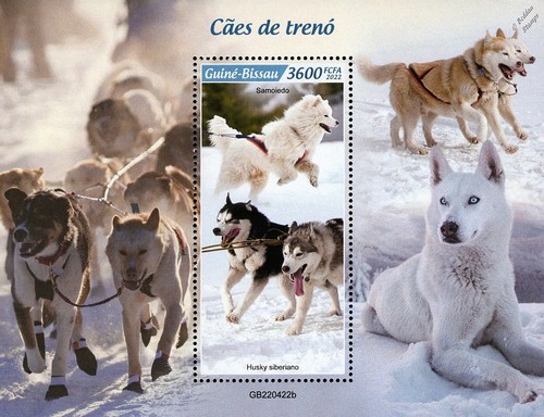 Sled dogs siberian - sled,