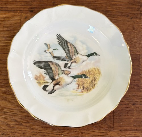 Duchess bone china - duchess,