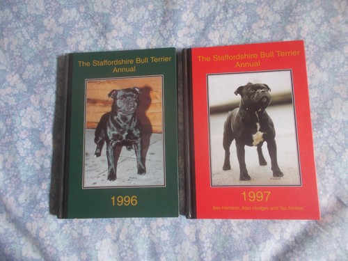 Staffordshire bull terrier - bull,