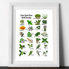 English Herb Garden Print- Hand Drawn Artwork - Home Decor | Kitchen Garden