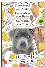 Staffordshire Bull Terrier