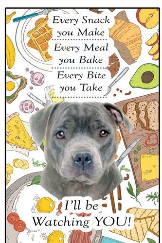 Staffordshire bull terrier - staffordshire,