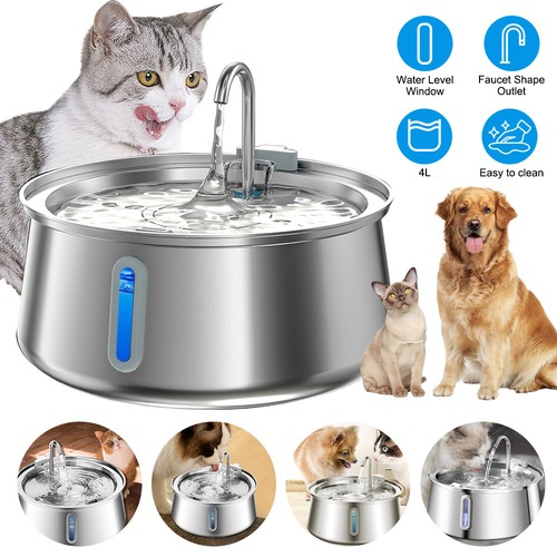 Electric led cat - electric, dog