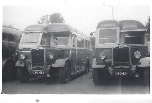 Bus photo cwo421 red - cwo421, white