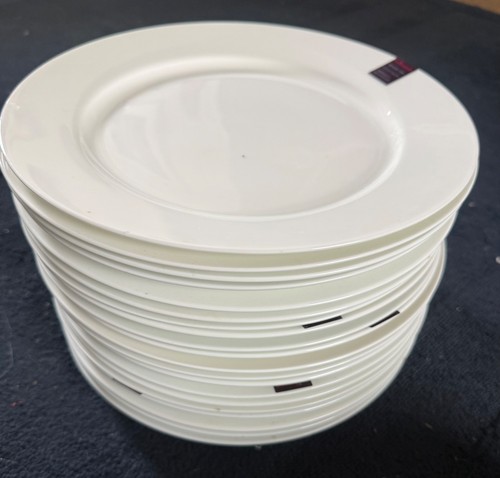Dinner plates - 20,