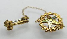 10k Gold Eastern Star Lapel