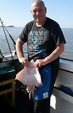 Half Apron - no pockets