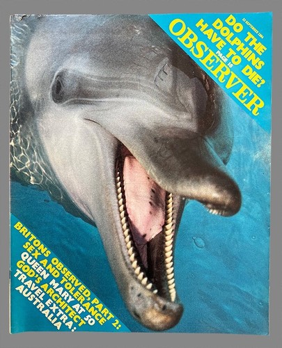 Observer magazine 1980s - observer,