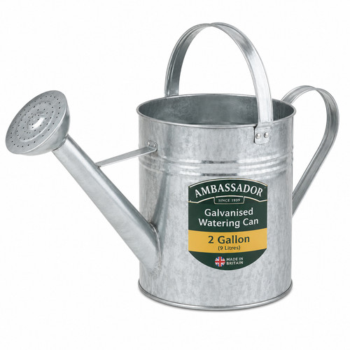 Ambassador galvanised watering - galvanised,