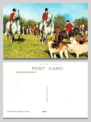Vintage postcard english fox - -,