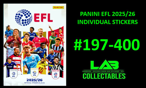 Panini efl sticker - efl, collection