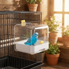 Space saving 1 parrot - space,