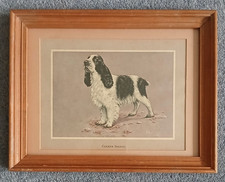 Cocker Spaniel Framed Print Artist Jacqueline Des Clayes - H. 22cm x L. 28cm