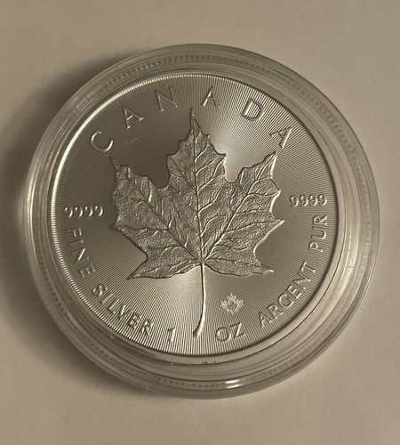 2022 canadian maple - maple, fine