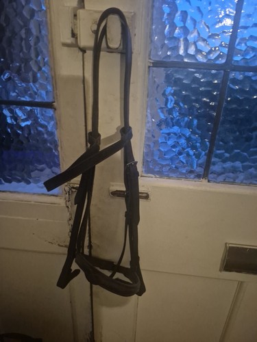 Pony mix bridle black - bridle, black.0