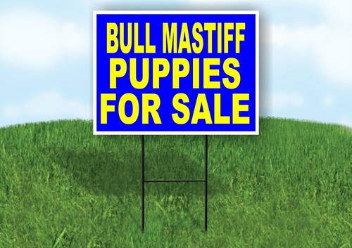 Bull mastiff puppies - bull,