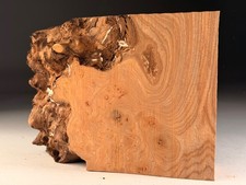 Burr Elm Live Edge Woodturning